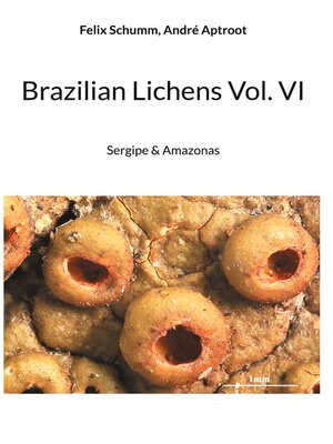 cover image of Brazilian Lichens Volume VI